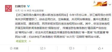 黄色网站国产,黄色网站背后的产业现状与挑战